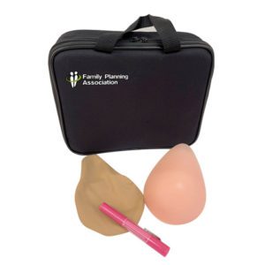 Standard breast self-examination BSE model