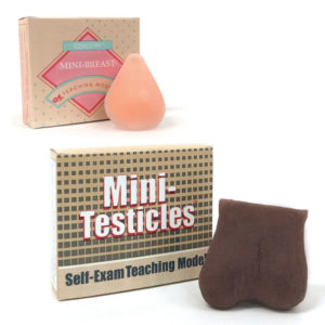 RSHE Self Examination Models Breasts and Testicle